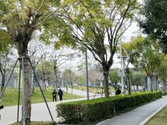 -华润深圳湾体育中心-“春茧” 体育馆