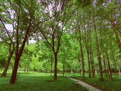 -河南省黄河迎宾馆