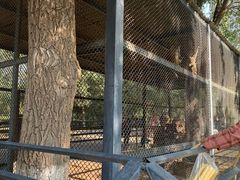 -长白岛森林公园