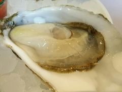 -Oyster Talks 四度蚝法餐厅