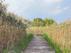 -梁鸿国家湿地公园