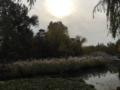 -清华大学-甲所餐厅