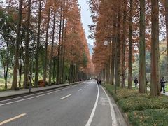 -青城山
