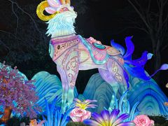 -厦门园林博览苑
