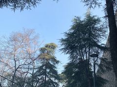 -紫金山山顶公园