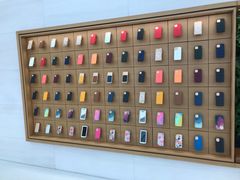 -Apple零售店(苏州店)