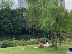 -南宁南湖公园