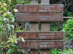 -午潮山国家森林公园