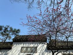 -杭州植物园