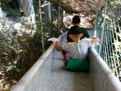 游乐设施滑道，价格20-九龙江国家森林公园