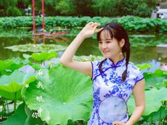 -陈家山荷花公园