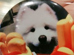 -星多哈·狗咖·拼豆·咖啡