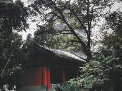 -浮庄