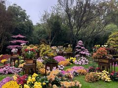 -杭州植物园
