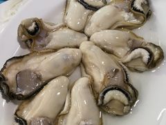 -花苑美食横琴生蚝火锅(拱北粤华路店)