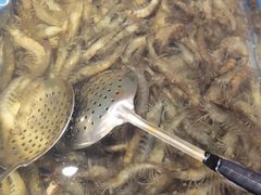 -青岛蓝海大饭店·爱琴海自助餐厅(崂山店)