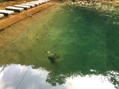 -白云源风景区