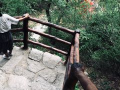 -黑龙潭风景区