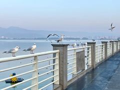 -海埂大坝