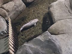 -南昌海洋公园