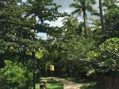 -三亚珠江南田温泉度假区