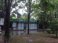 -紫薇公园