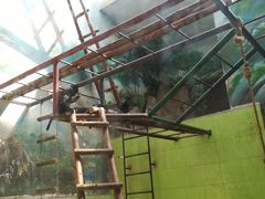 -石家庄市动物园