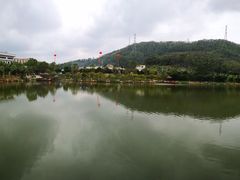 景观位-梧桐庄园