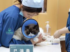 -联合动物医院(光谷诊疗中心)