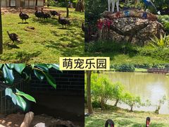 -佛冈森波拉度假区