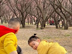 -蜀冈西峰生态公园