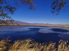 -野鸭湖国家湿地公园