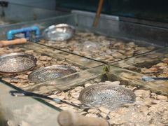 -养牛邓·潮汕牛肉海鲜自助火锅(广州店)