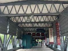 -武汉知音号
