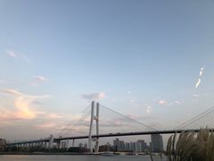 -摆渡站(董家渡站)