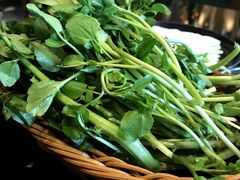 西洋菜-官也街澳门火锅(新源里店)