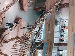 -安徽省地质博物馆