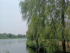 -长春北湖公园