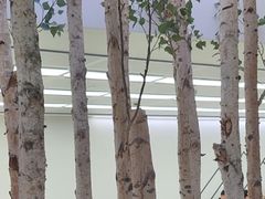 -极简口腔(总院)