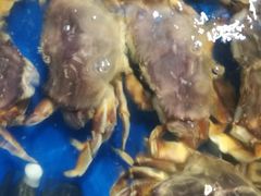 -盒马鲜生(莱蒙都会店)
