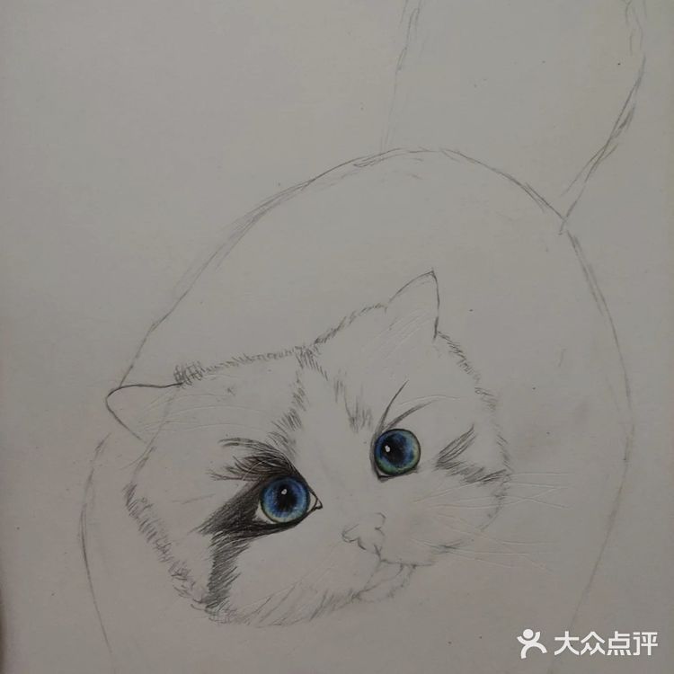 我的毛孩子[亲亲]