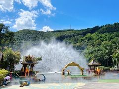 -西双版纳原始森林公园