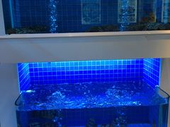 水产区-金苑海鲜酒家(来魅力店)