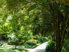 -逸廊大堂吧-下午茶·简餐-千岛湖自由洲际殿