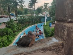 -重庆海昌加勒比海水世界