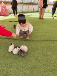 -萌宠亲子动物乐园(槐房万达店)