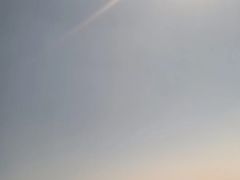 -合肥滨湖国家森林公园