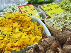 -五里多农博广场