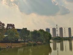 -九里河湿地公园
