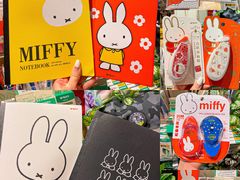 -九木杂物社(中心店)